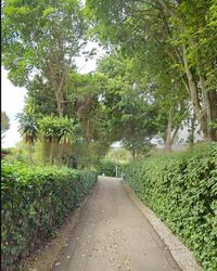 Duchess Avenue (D10), Detached #496788771